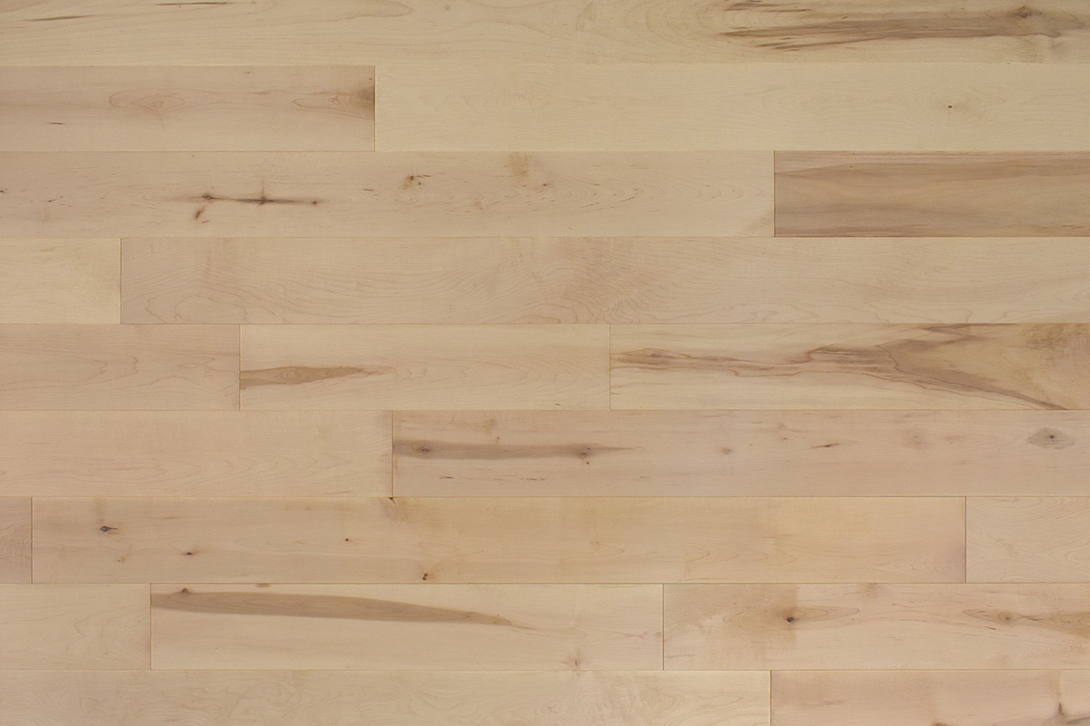 Adam, Unique Collection Cohesion Engineered Maple 5 in