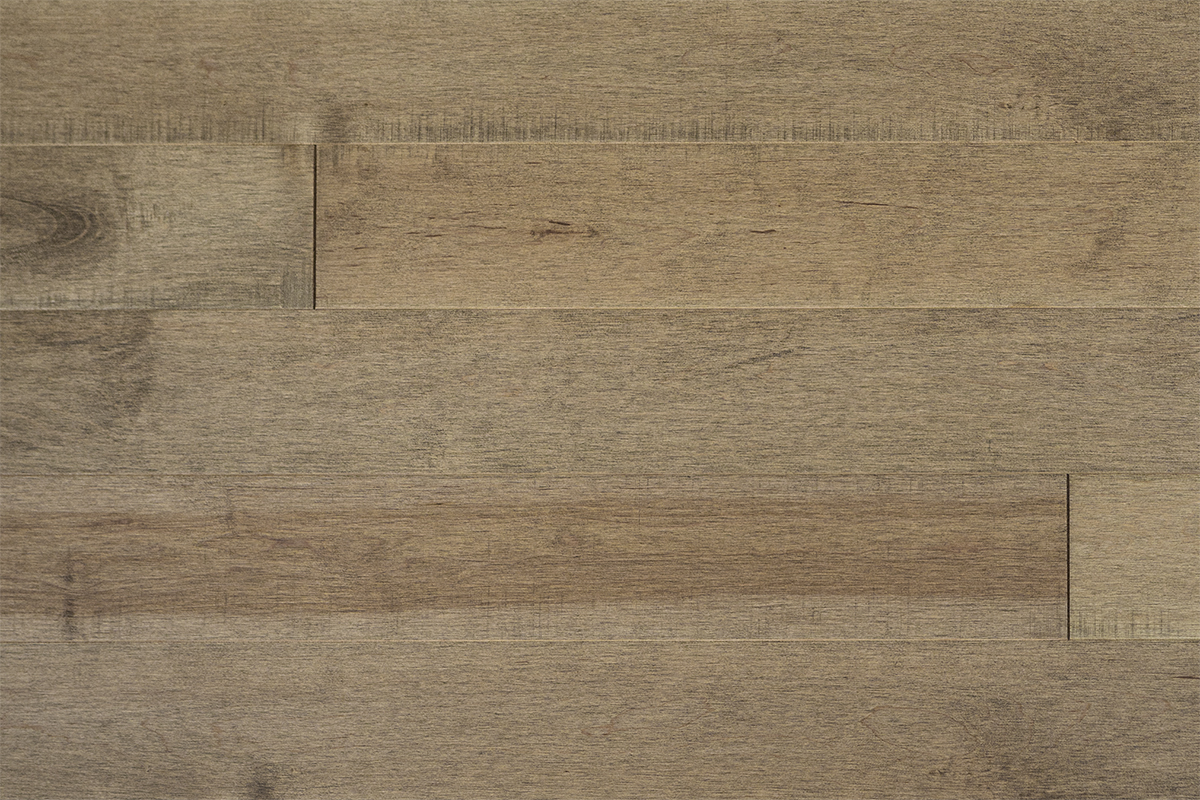 Cambium