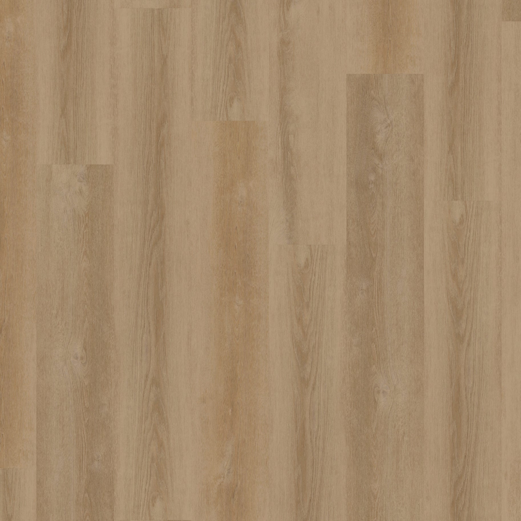 Taupe swatch