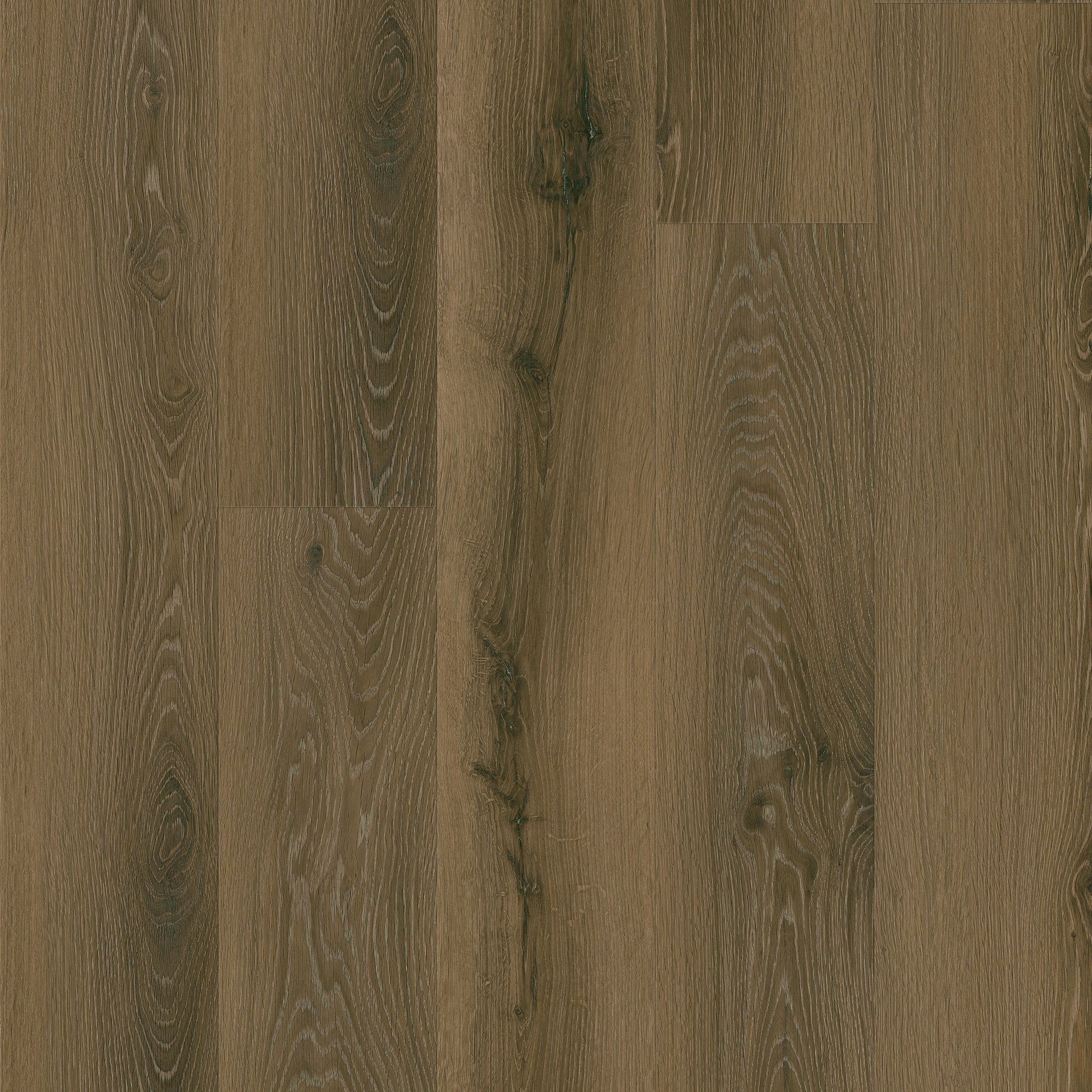 Java Jetty swatch