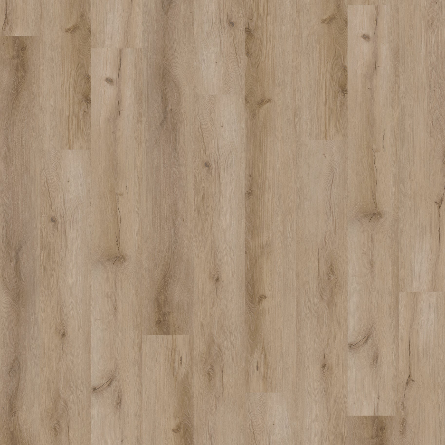 Light Maple swatch