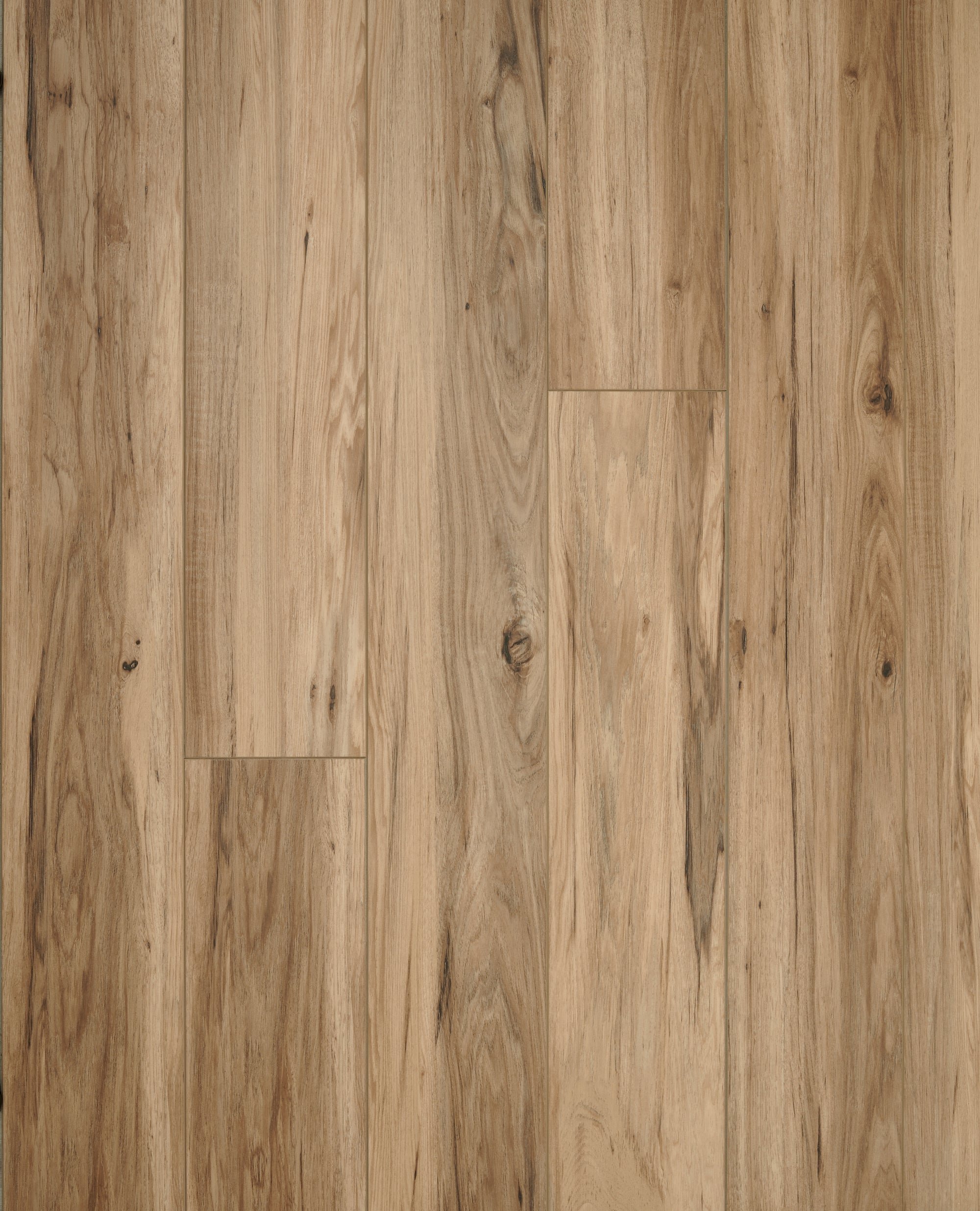Driftwood swatch