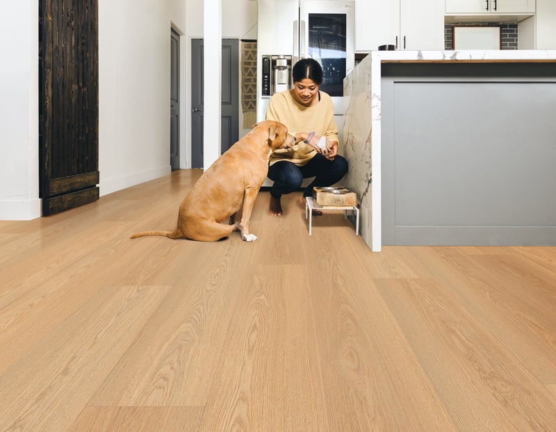 Maple Sugar flooring in a room