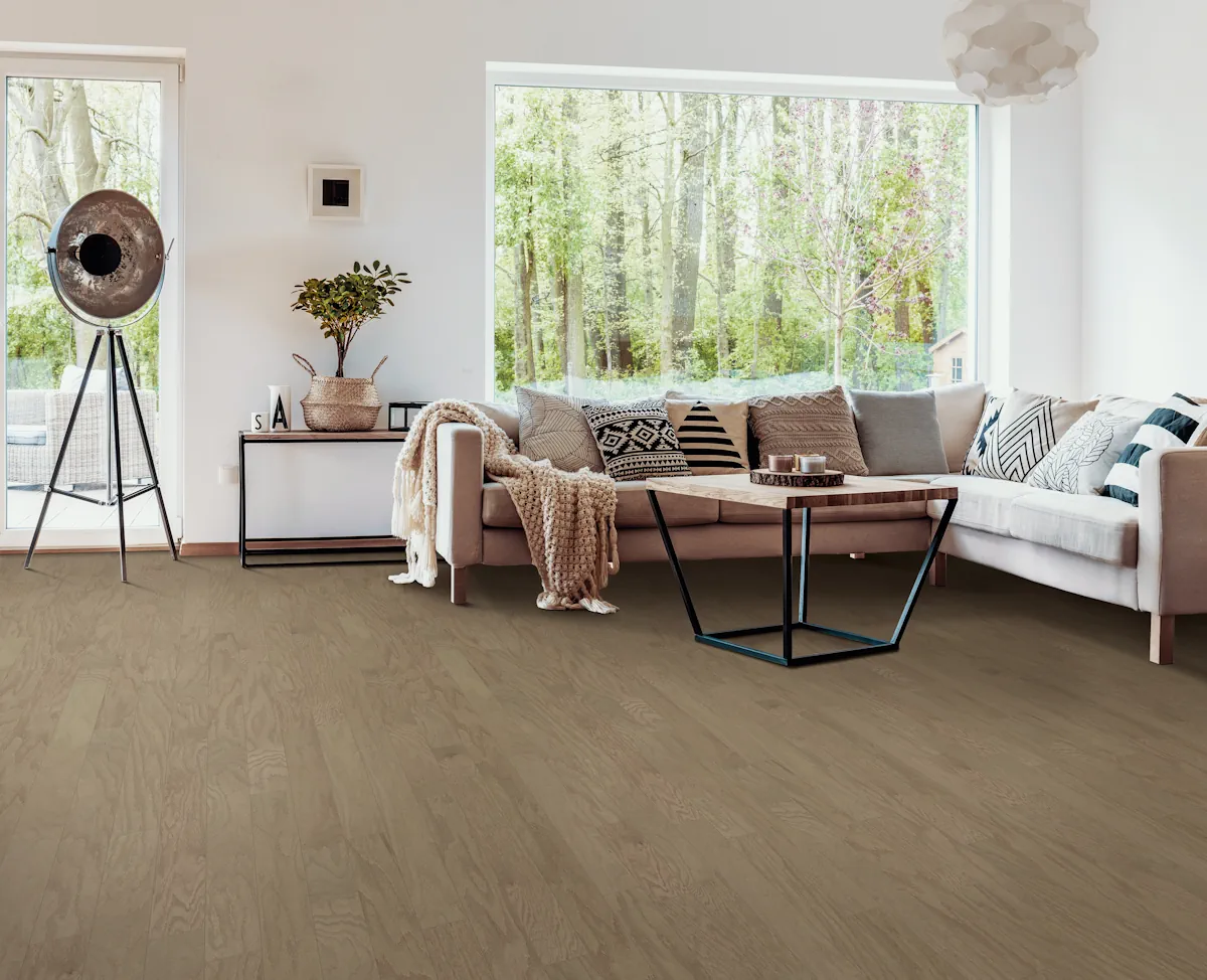 Warm Sand flooring in a room