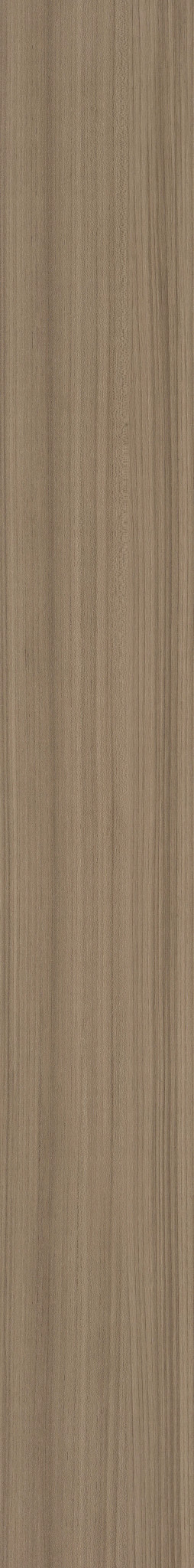 Bistre swatch