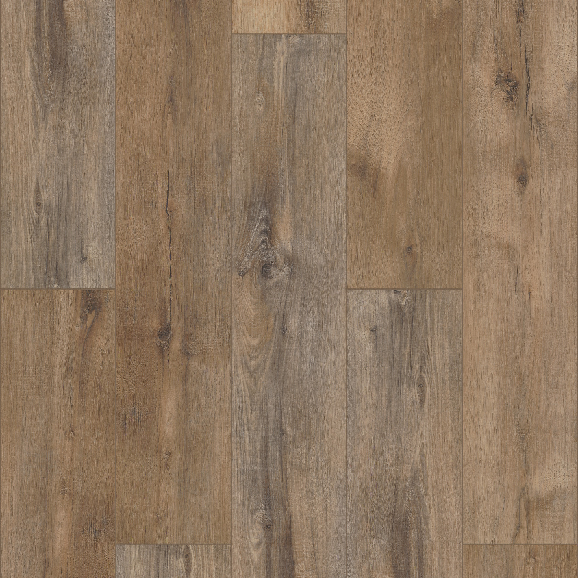 Portchester Oak swatch