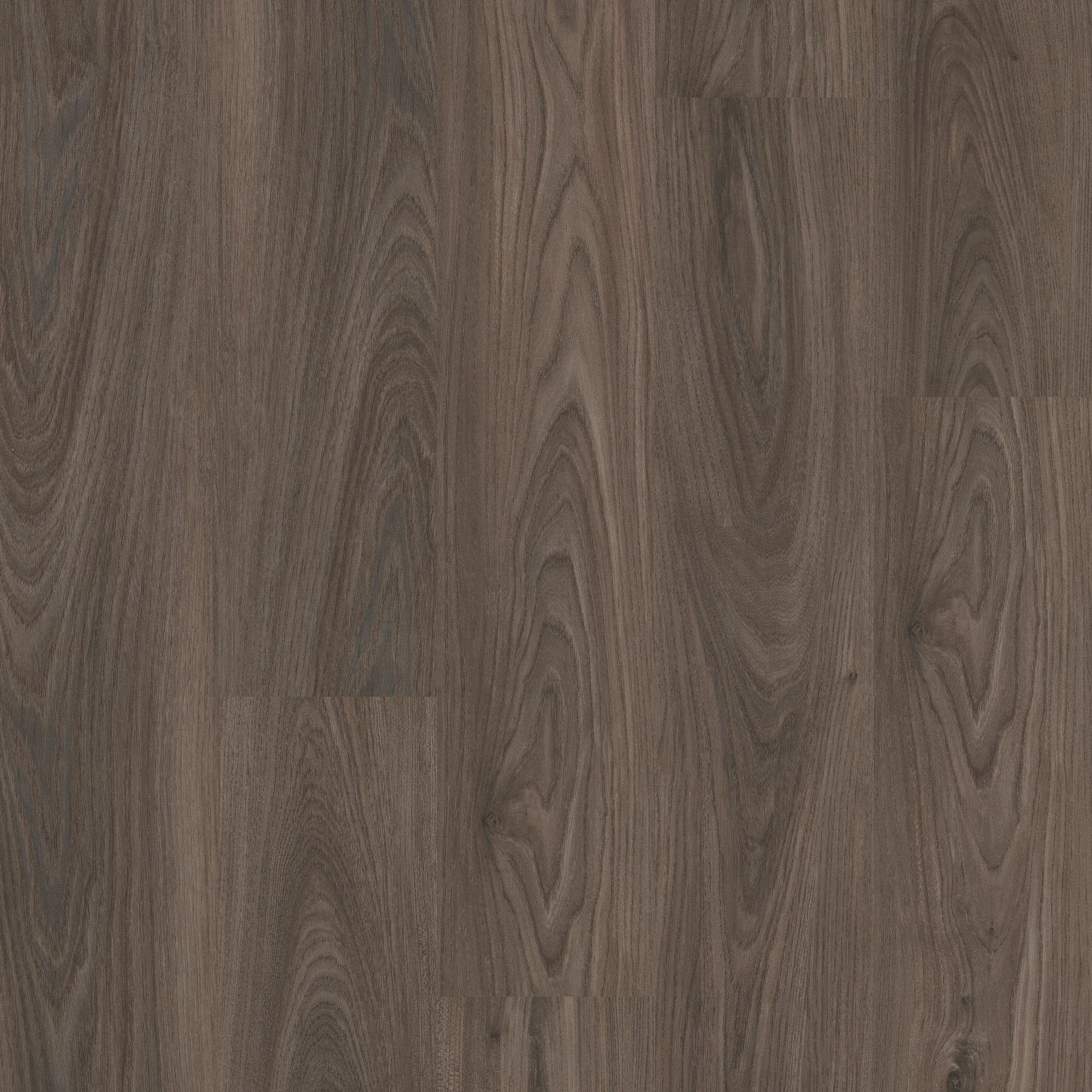 Dark Elm swatch