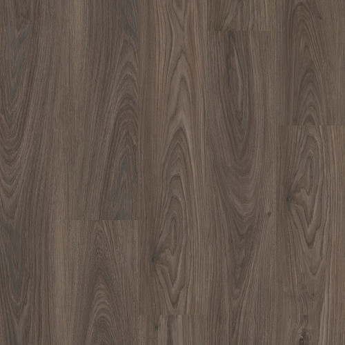 Dark Elm, Fifth and Main · Setup