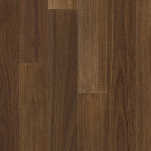Raw Umber