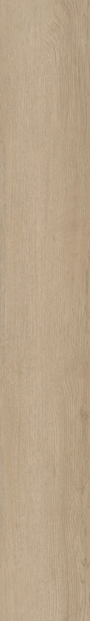 Mesa Oak