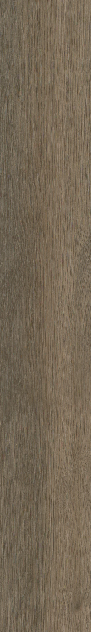Native Pecan swatch