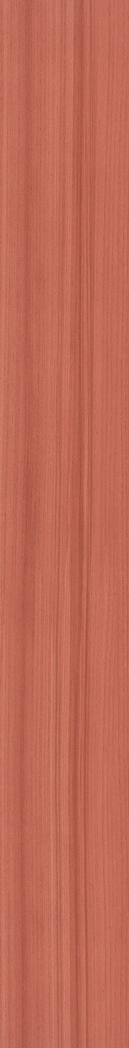 Coral swatch