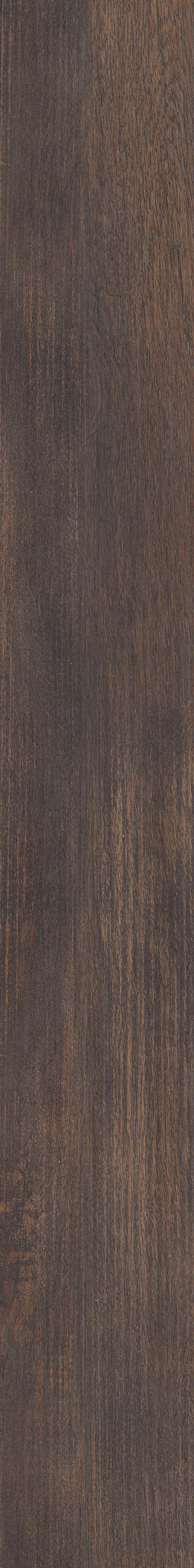 Thicket swatch