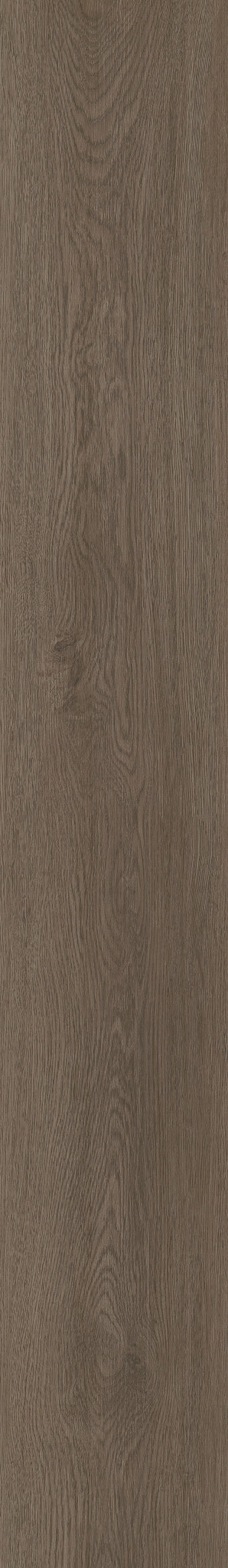 Seneca Oak