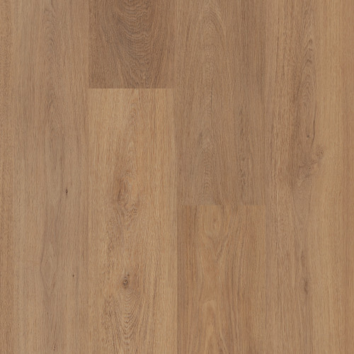 Russet Oak