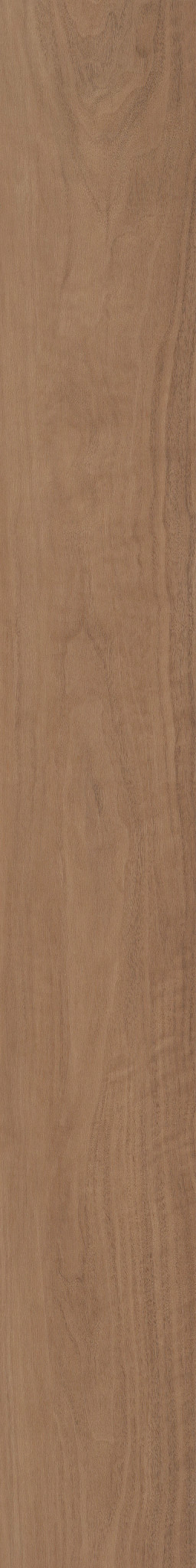 Subdued Sienna swatch