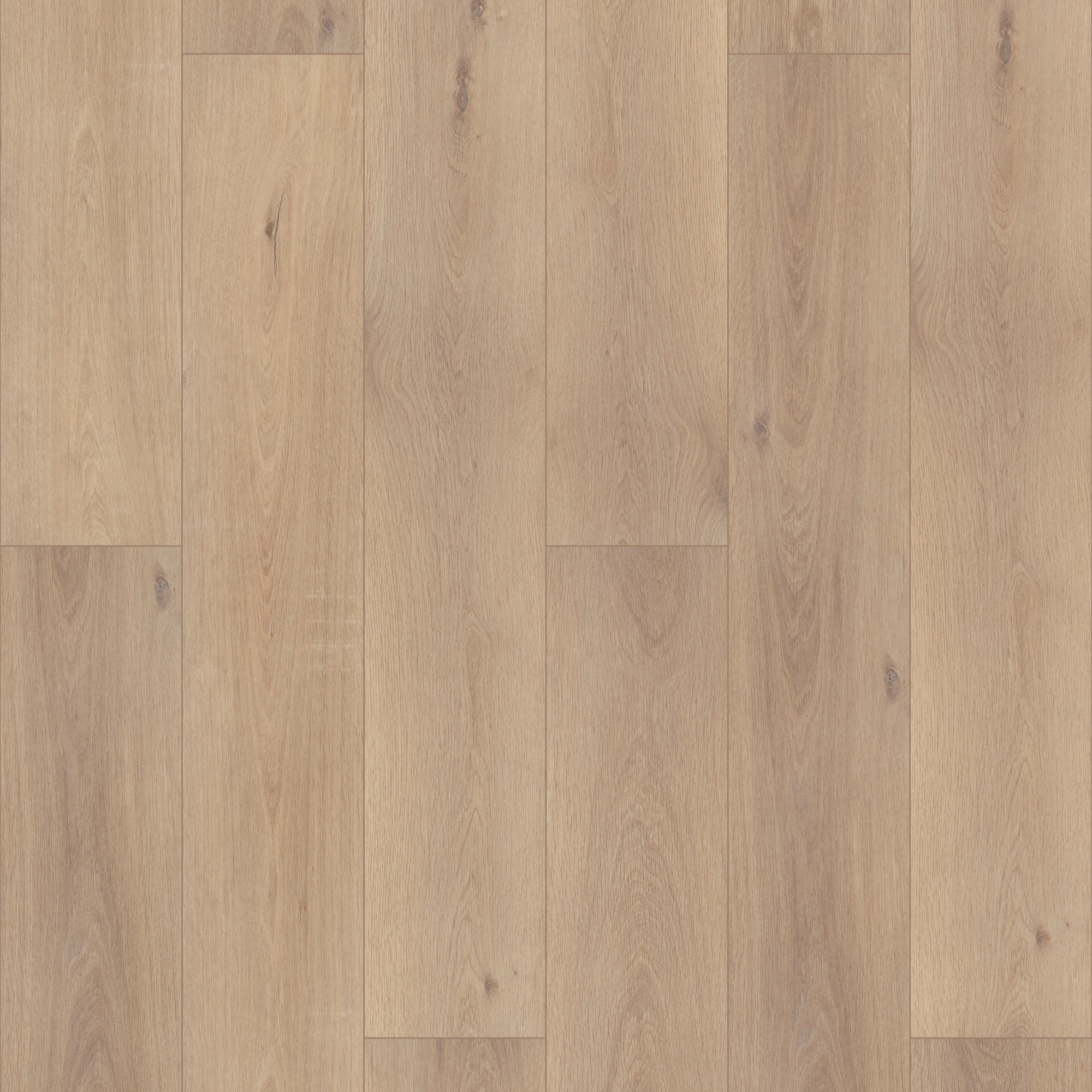 Ravenswood Oak swatch