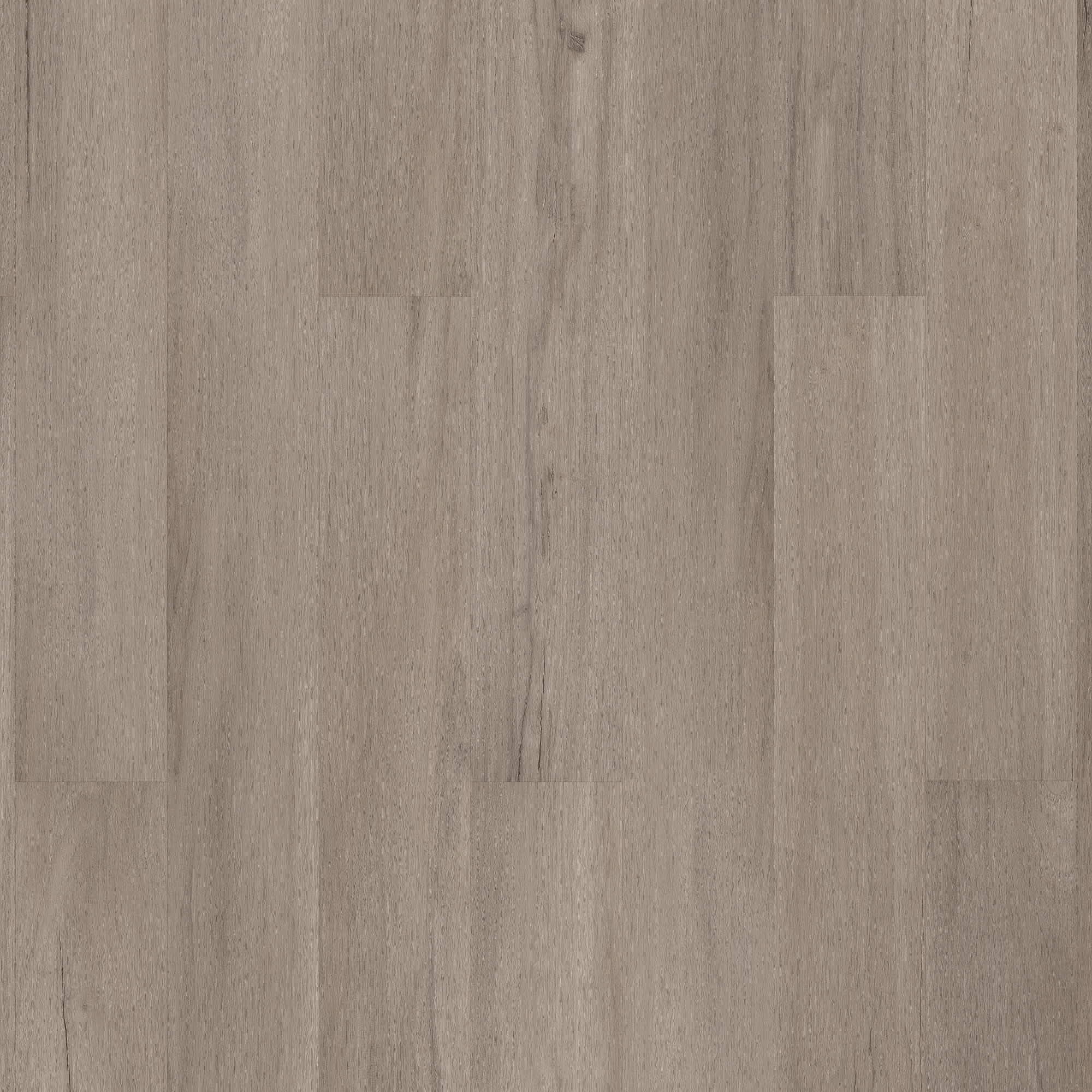 Ashton Woods Oak swatch