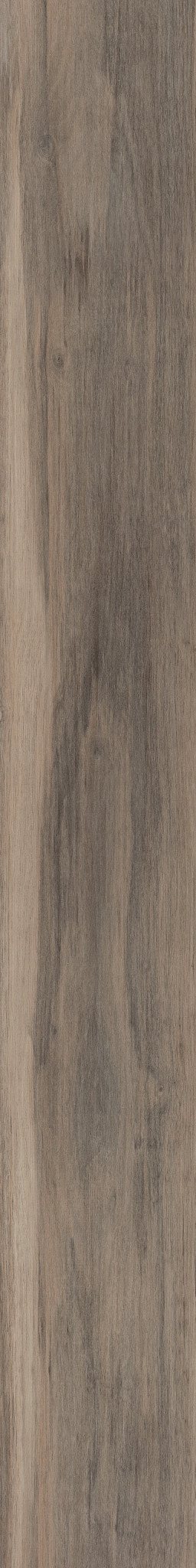 Sparrow swatch