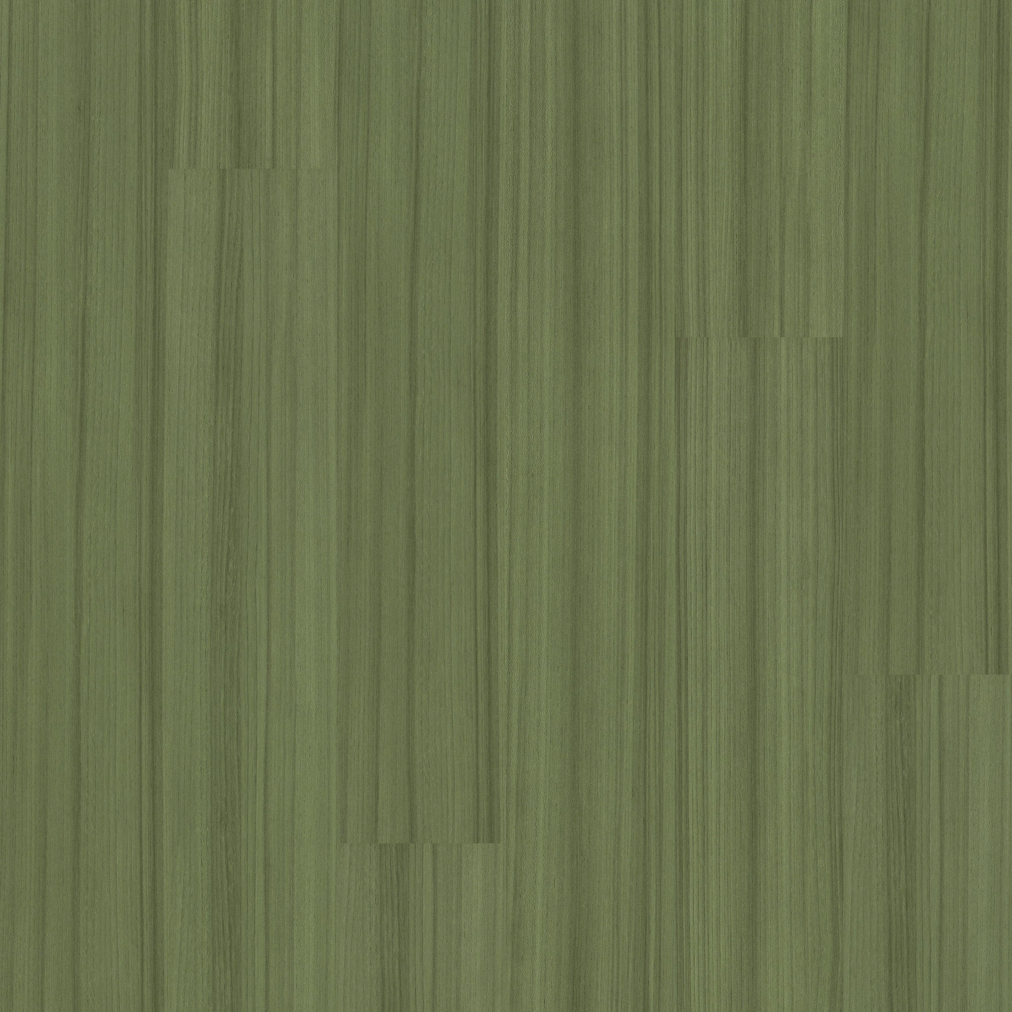 Cactus swatch