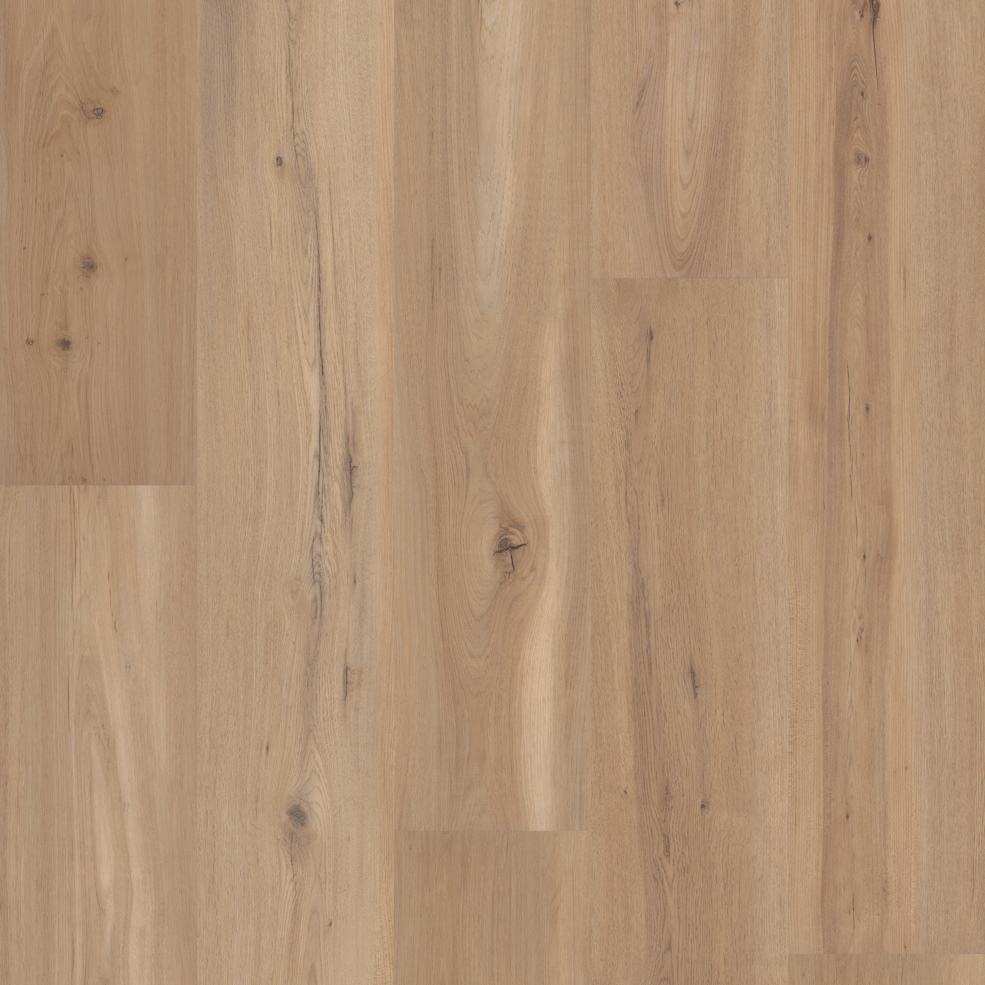 Blonde Oak swatch