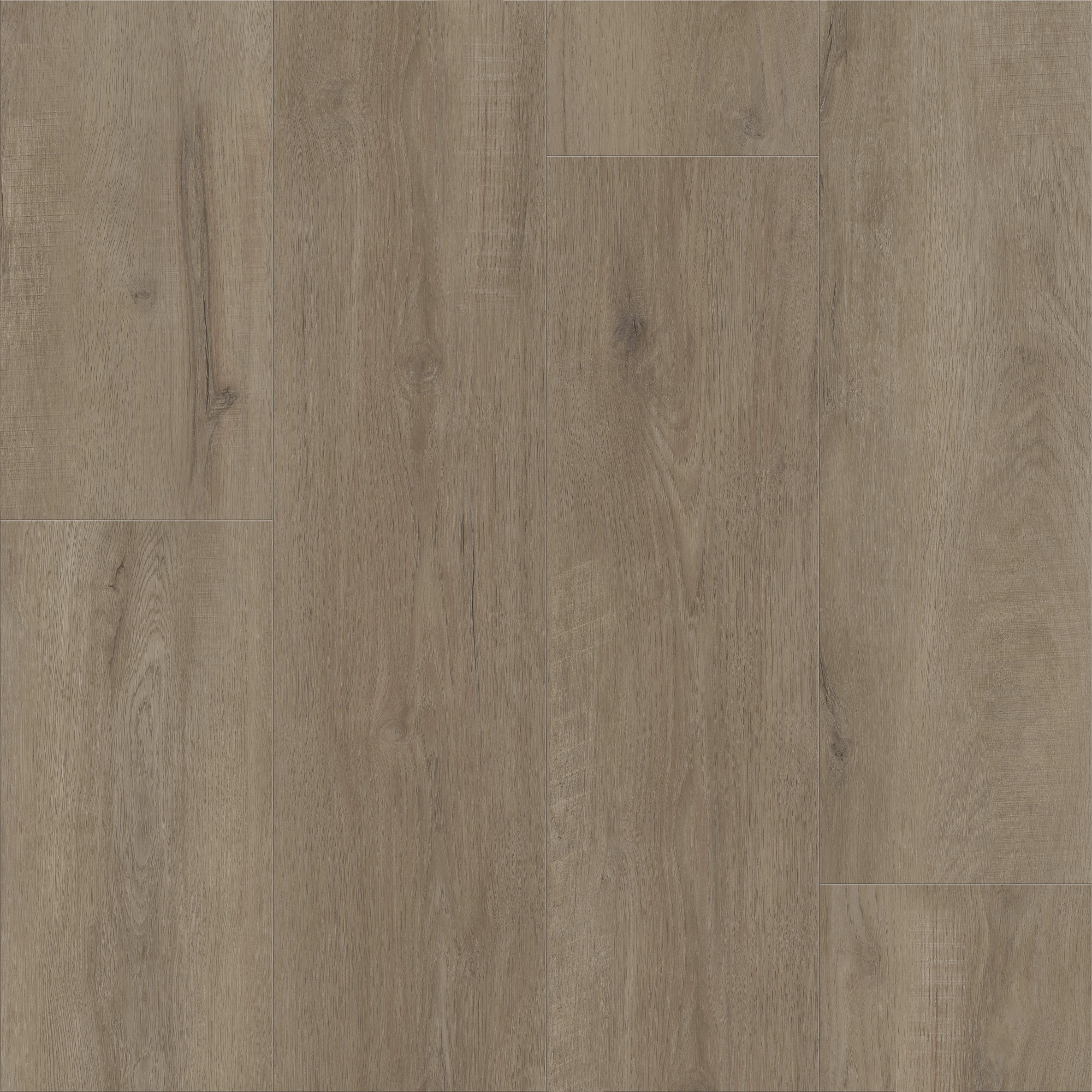 Truffle swatch