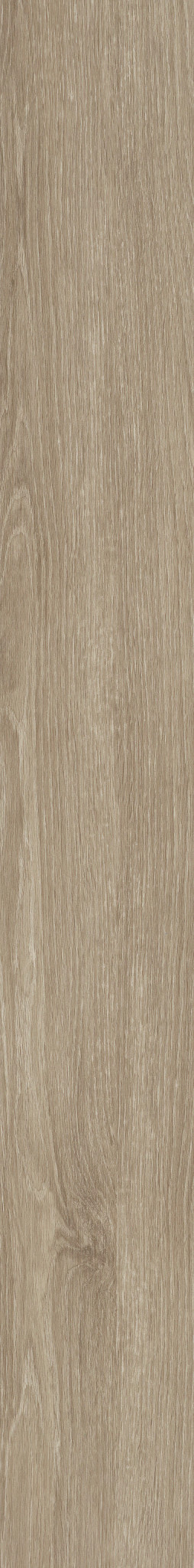 Plateau swatch