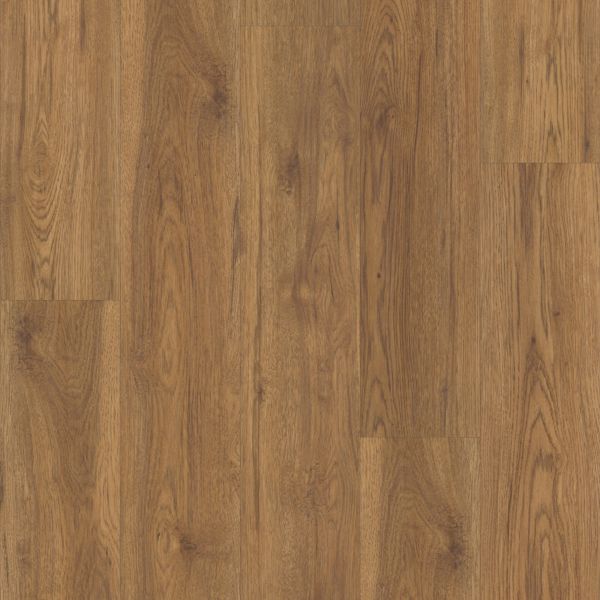 Marsh Oak swatch