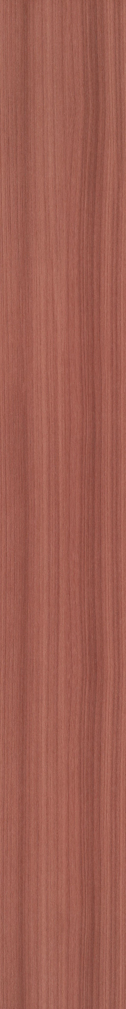 Coral swatch