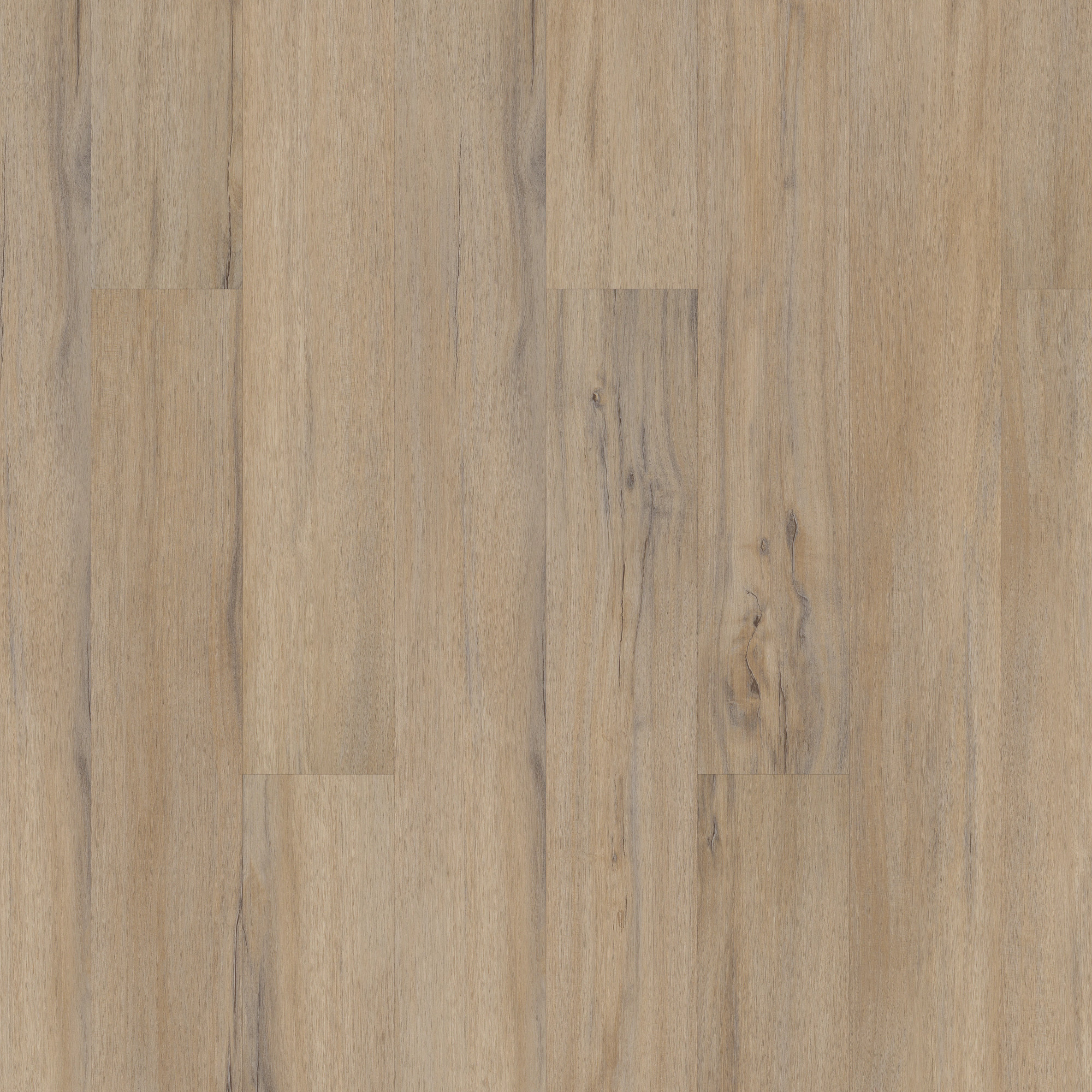 Dodwell Oak swatch