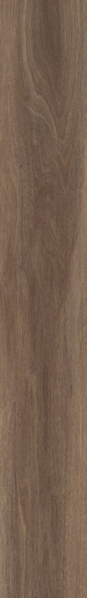 Cocoa swatch