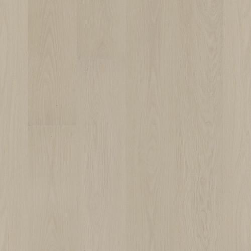 Delicate Oak