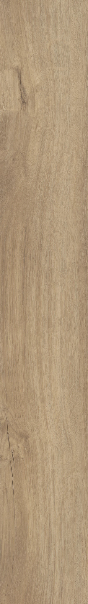 Centennial Divi swatch