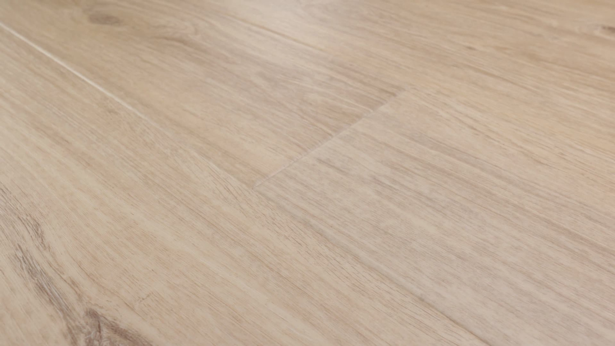 Wander, the manufacturer's 360 video