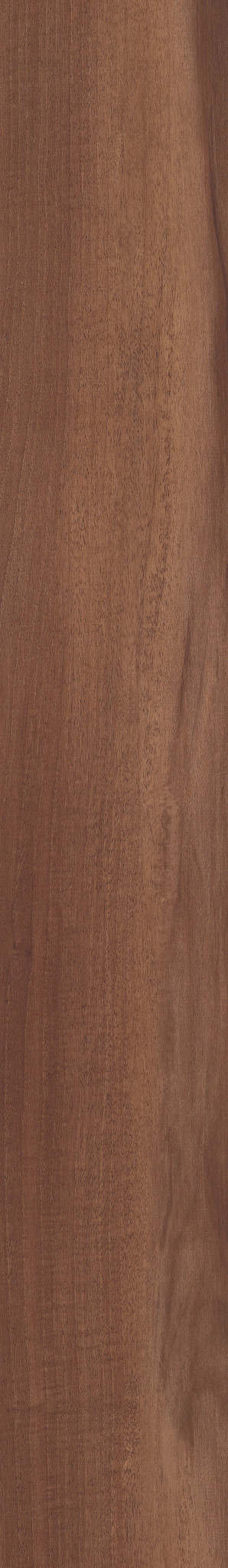 Cinnamon swatch