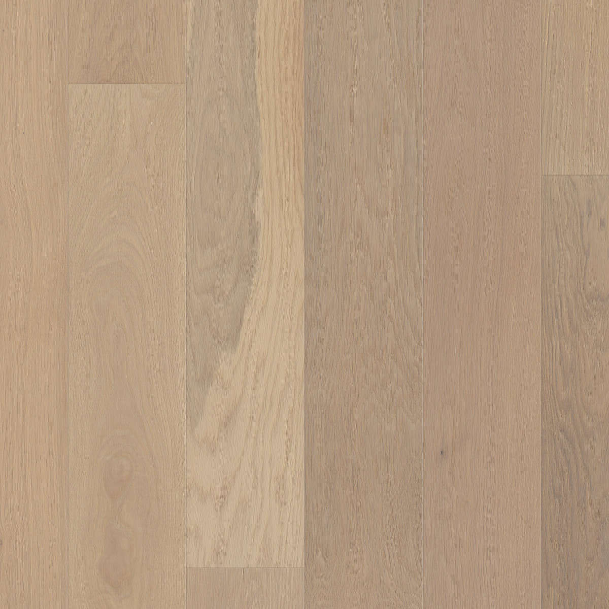 Anthem, Americana Oak