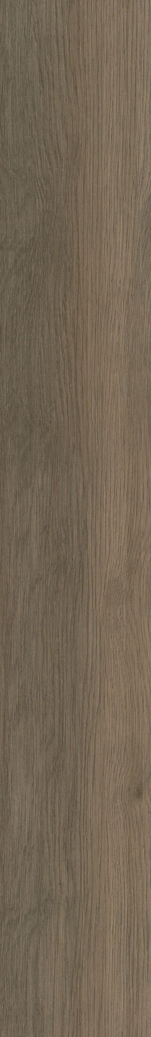 Native Pecan