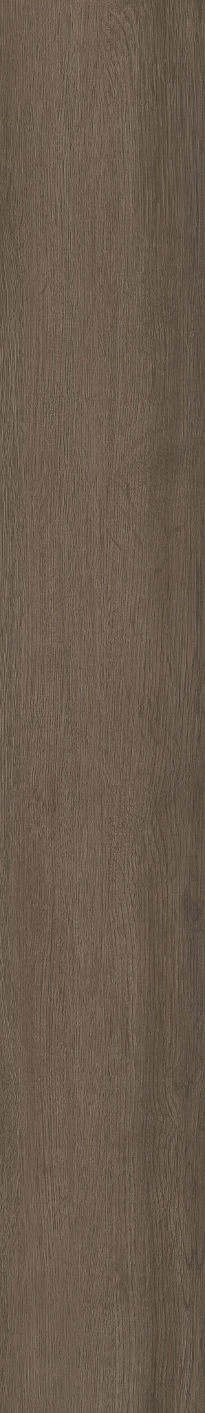 Seneca Oak