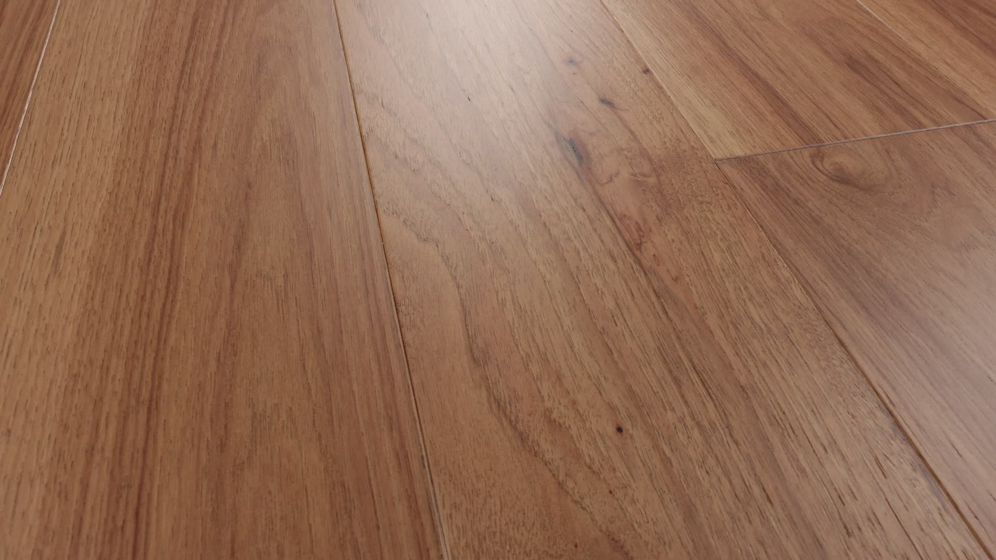 Repose, the manufacturer's 360 video