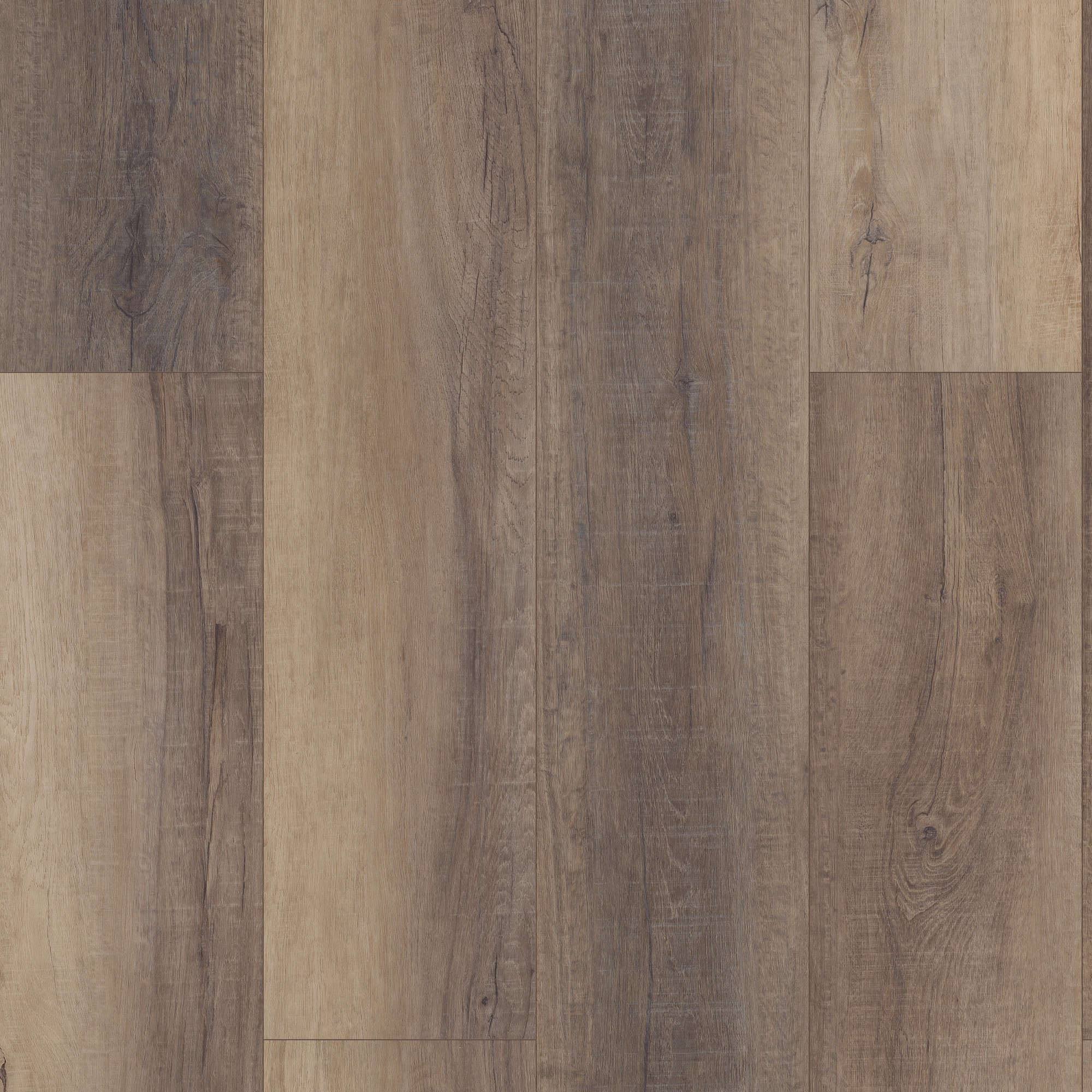 Bastion Elm swatch