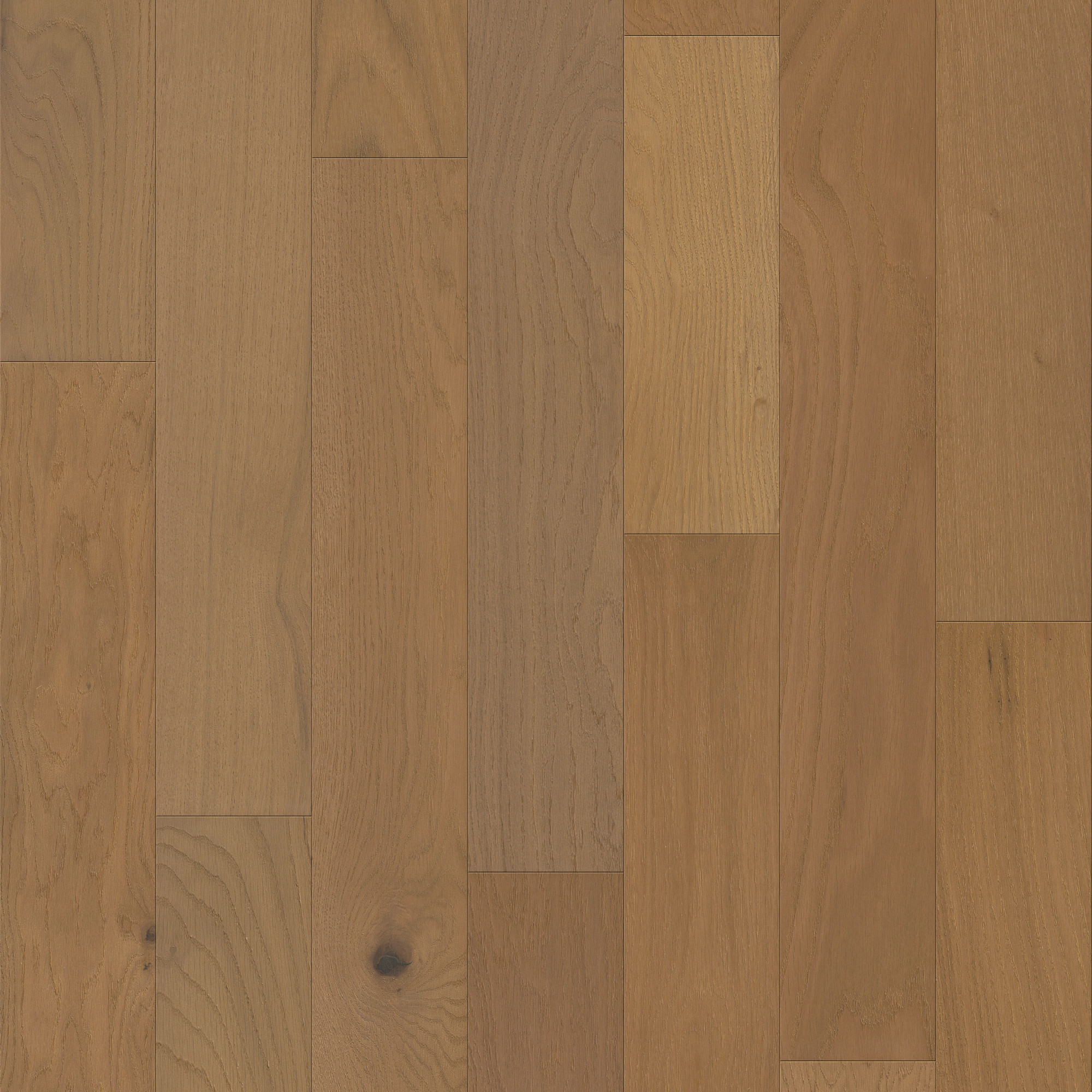 Hearst, laid flat, seen from above