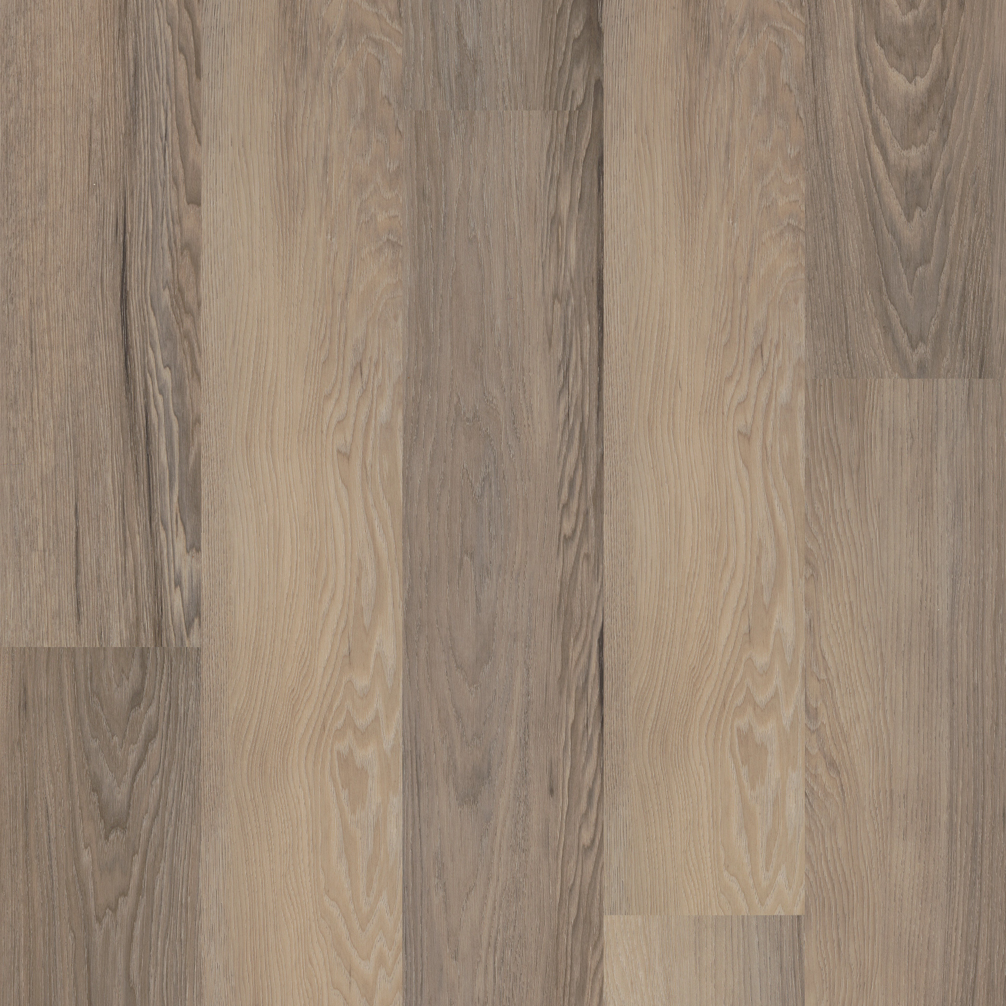 Salton Chestnut swatch