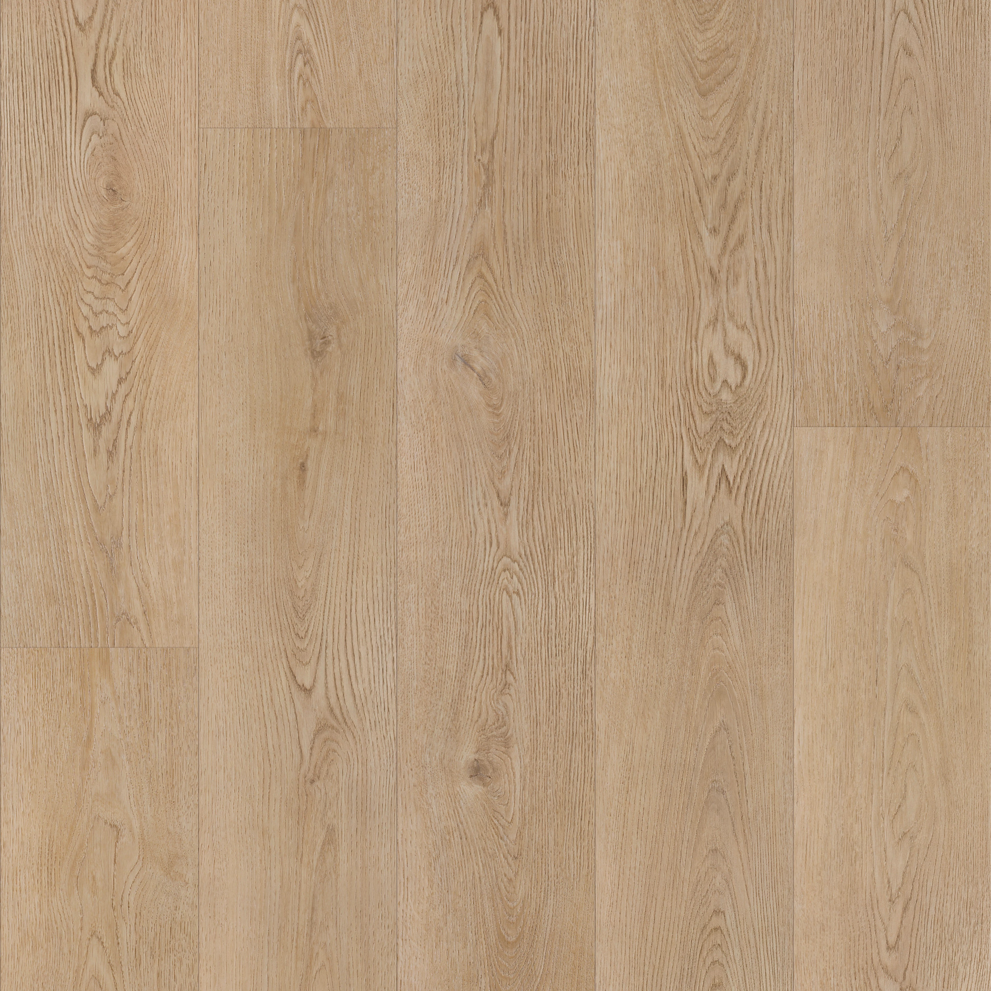 Warm Sand Oak, laid flat, seen from above
