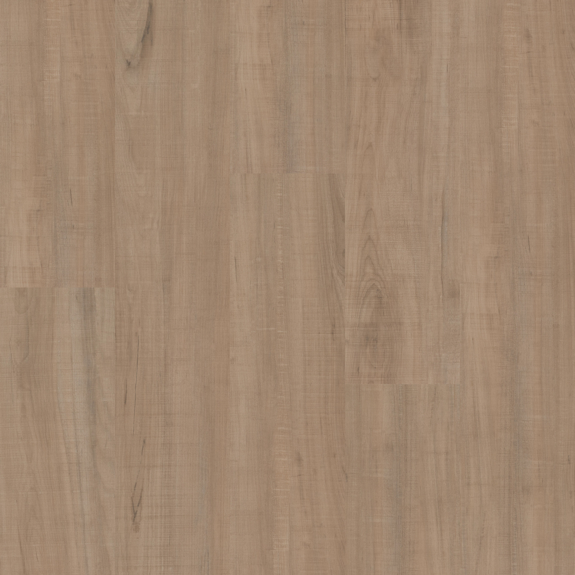 Chatter Oak swatch