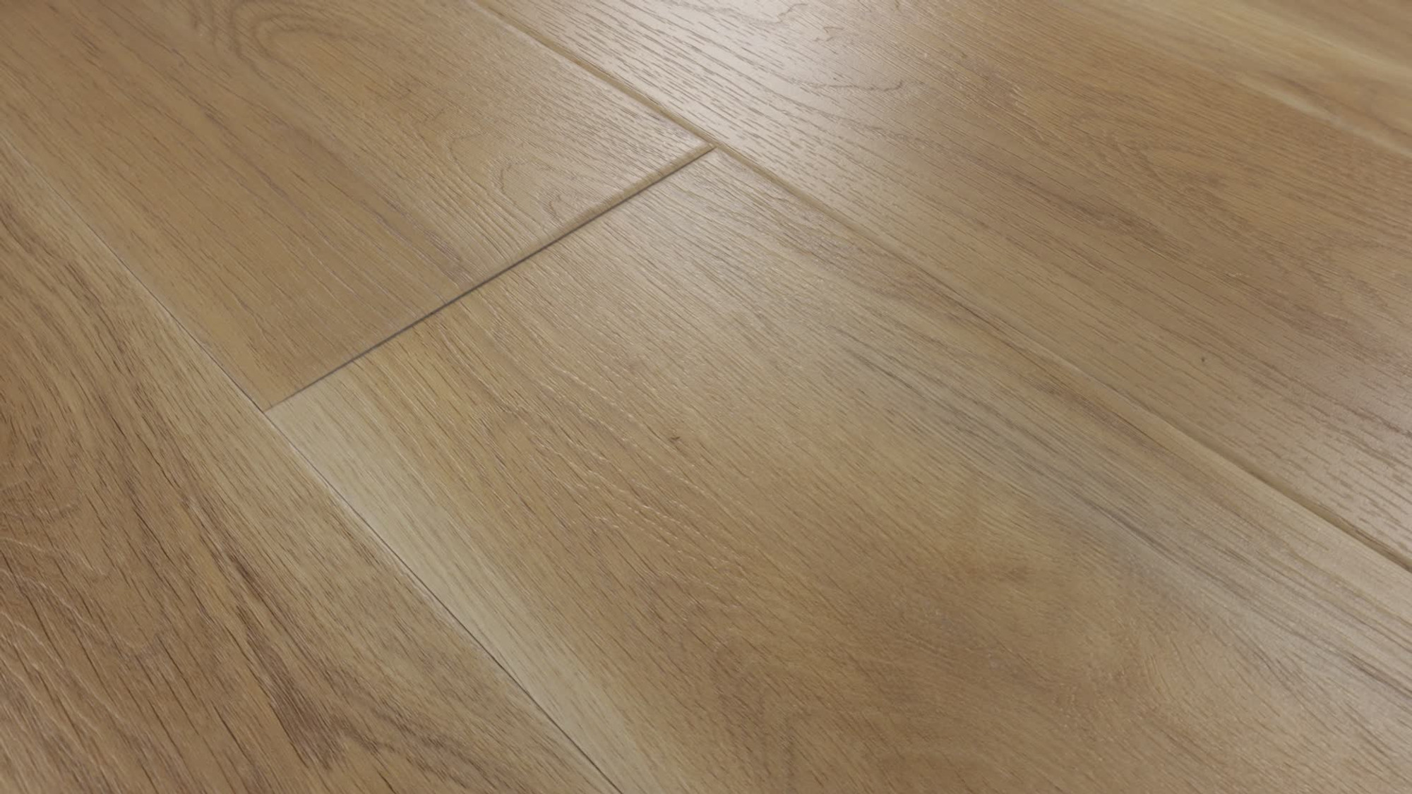 Edgemont, the manufacturer's 360 video