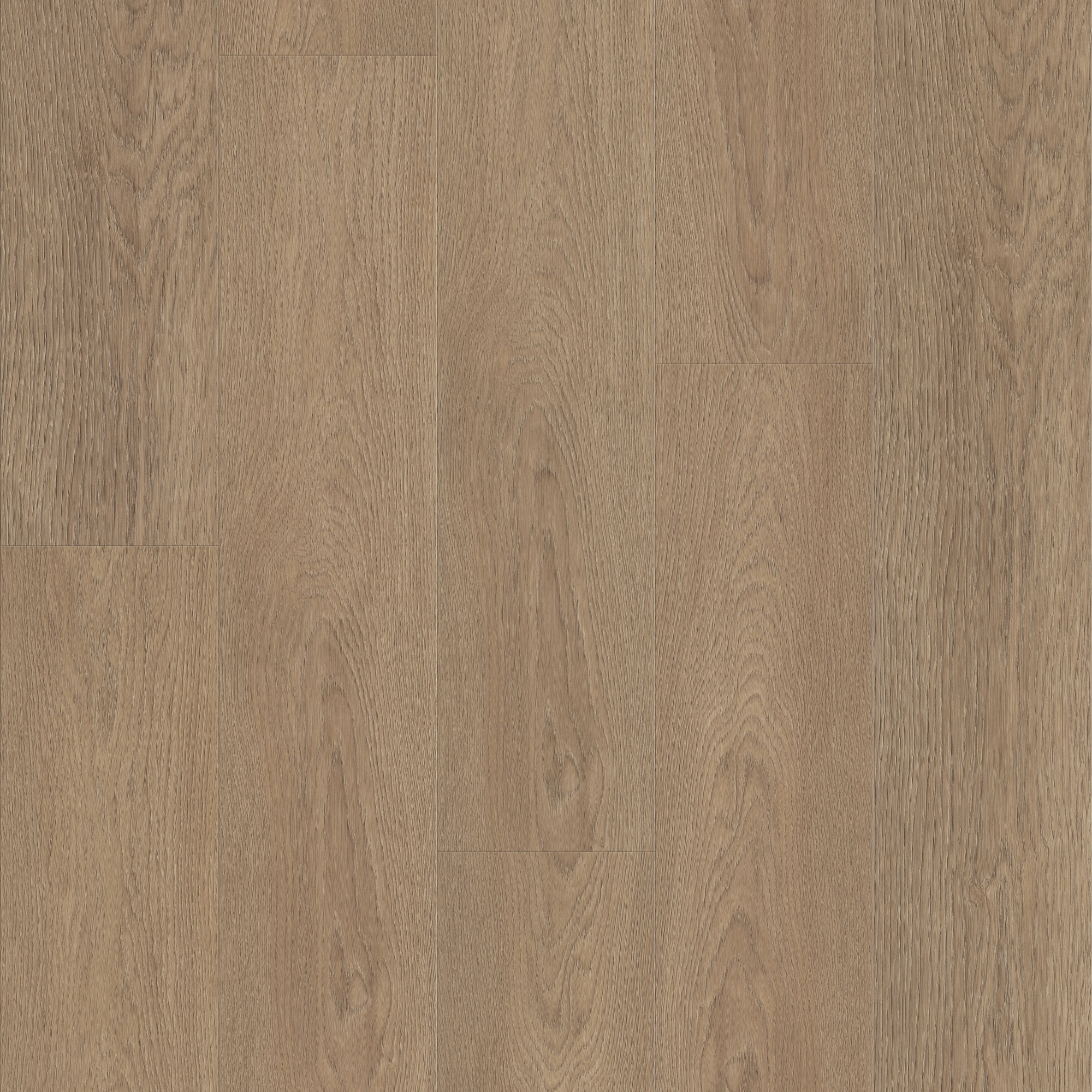 Wingback Brown swatch