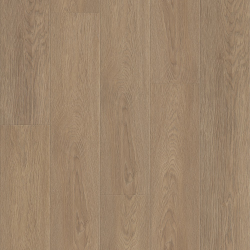 Wingback Brown