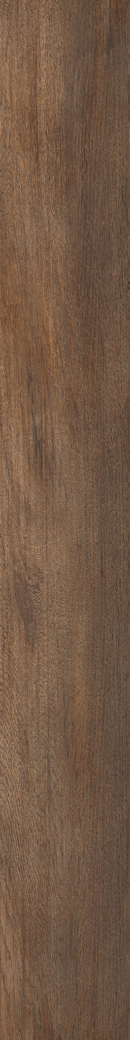 Thicket swatch