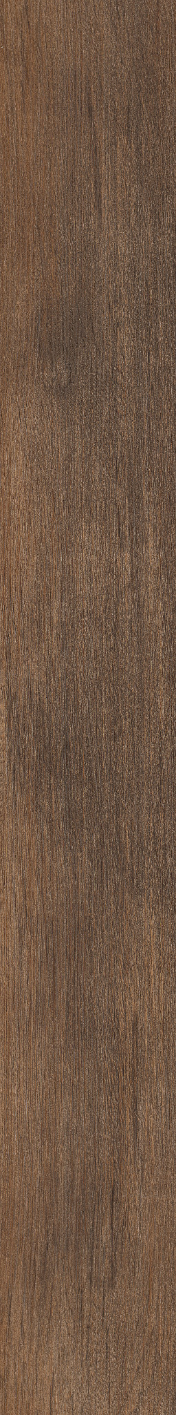 Thicket swatch