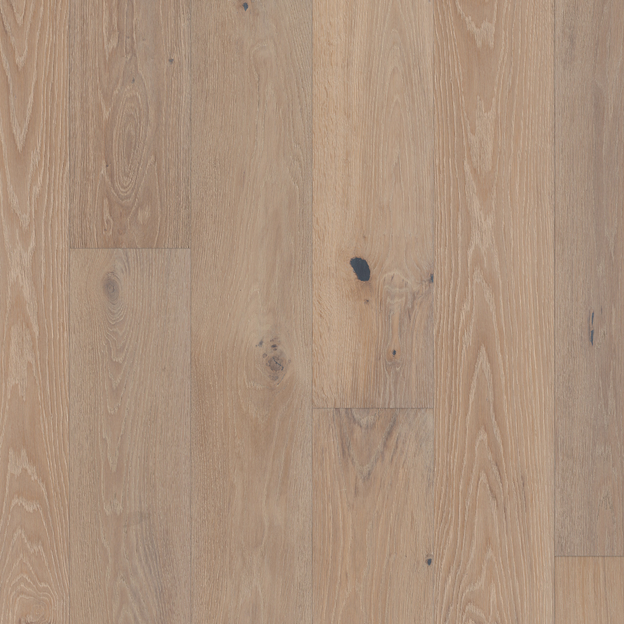 Bolero, laid flat, seen from above